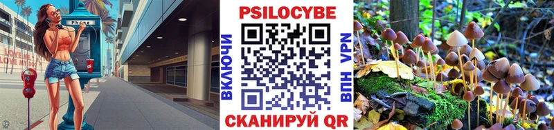 Псилоцибиновые грибы мицелий  цена   Цивильск 